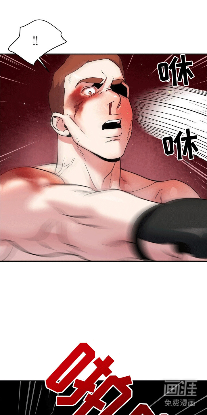 爱上搏击小将第10话图