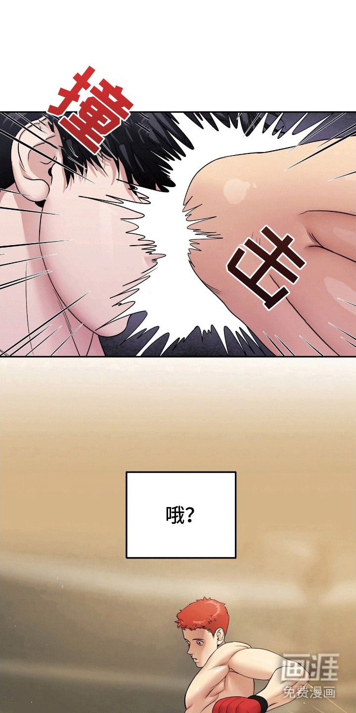 爱上搏击小将第5话图