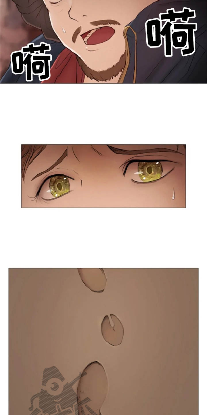 爱情的妖精鸟 第16话 第19页