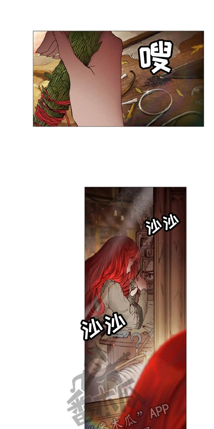 爱情的妖精鸟 第17话 第0页