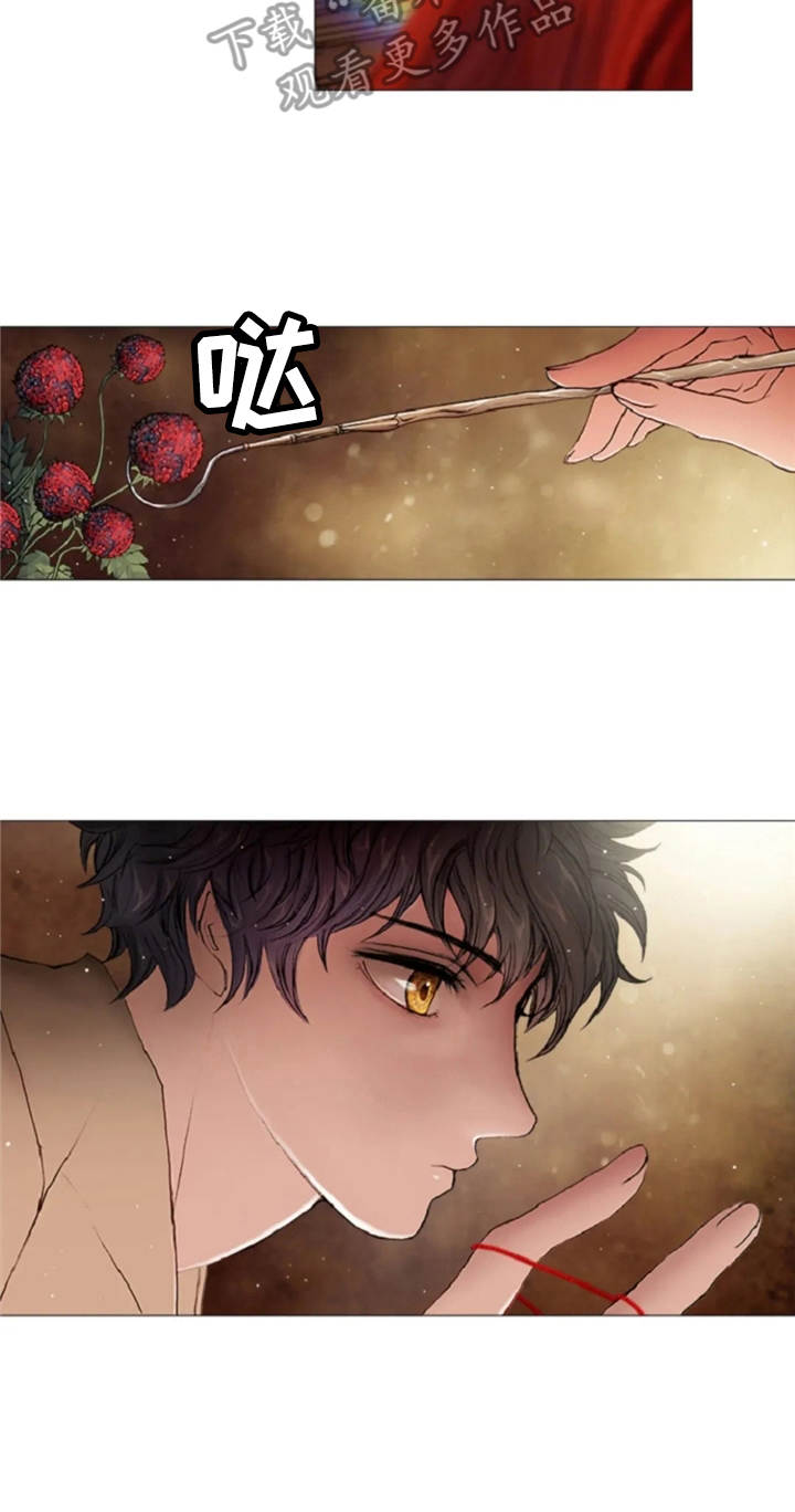 爱情的妖精鸟 第17话 第1页