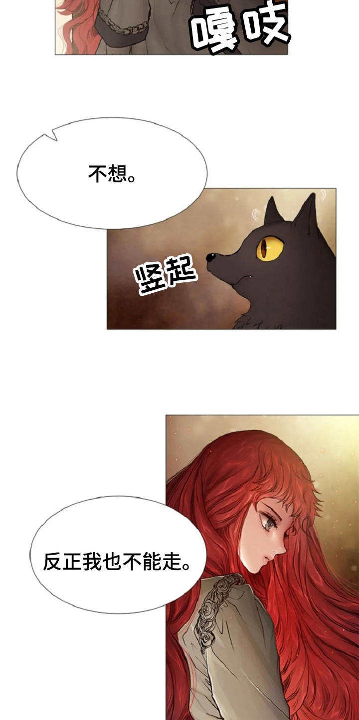 爱情的妖精鸟 第17话 第16页