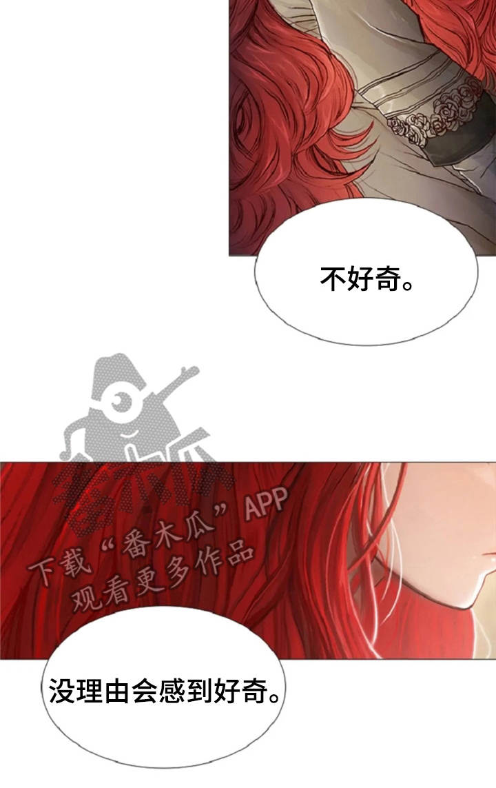 爱情的妖精鸟第17话图