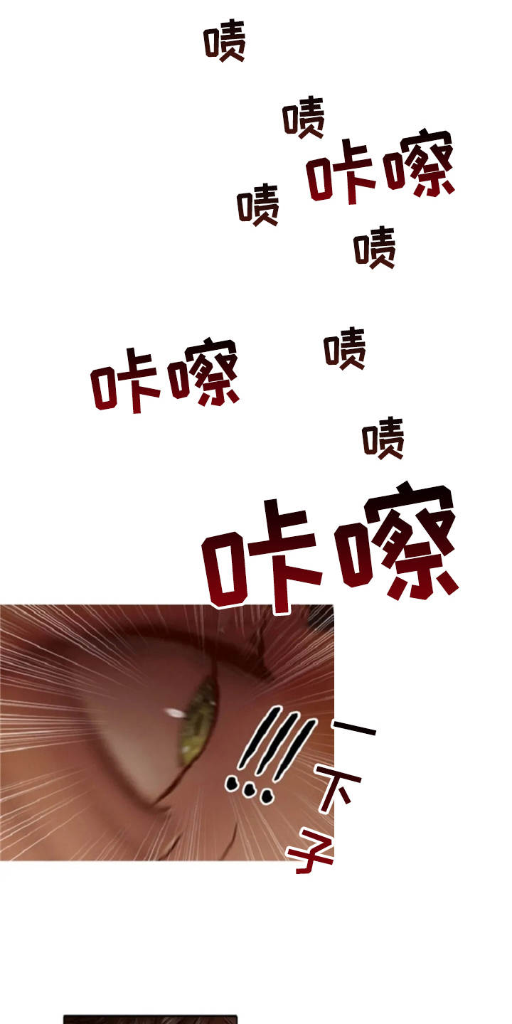 爱情的妖精鸟 第21话 第2页