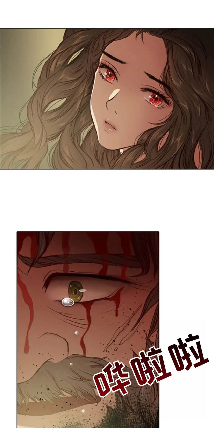 爱情的妖精鸟 第22话 第13页