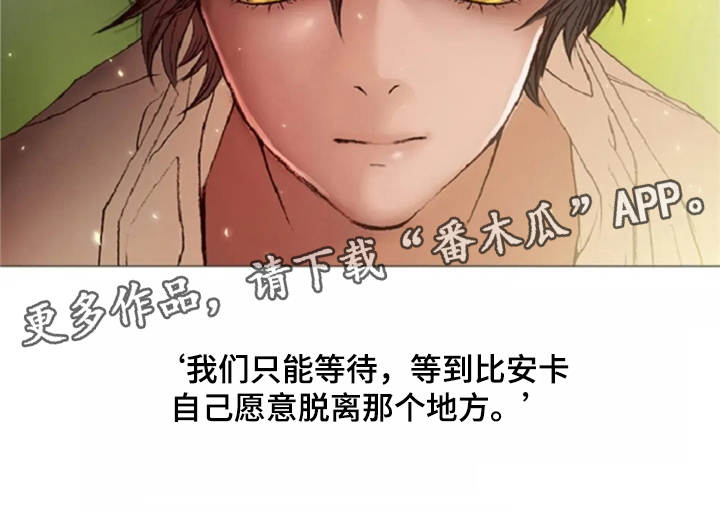 爱情的妖精鸟 第26话 第10页