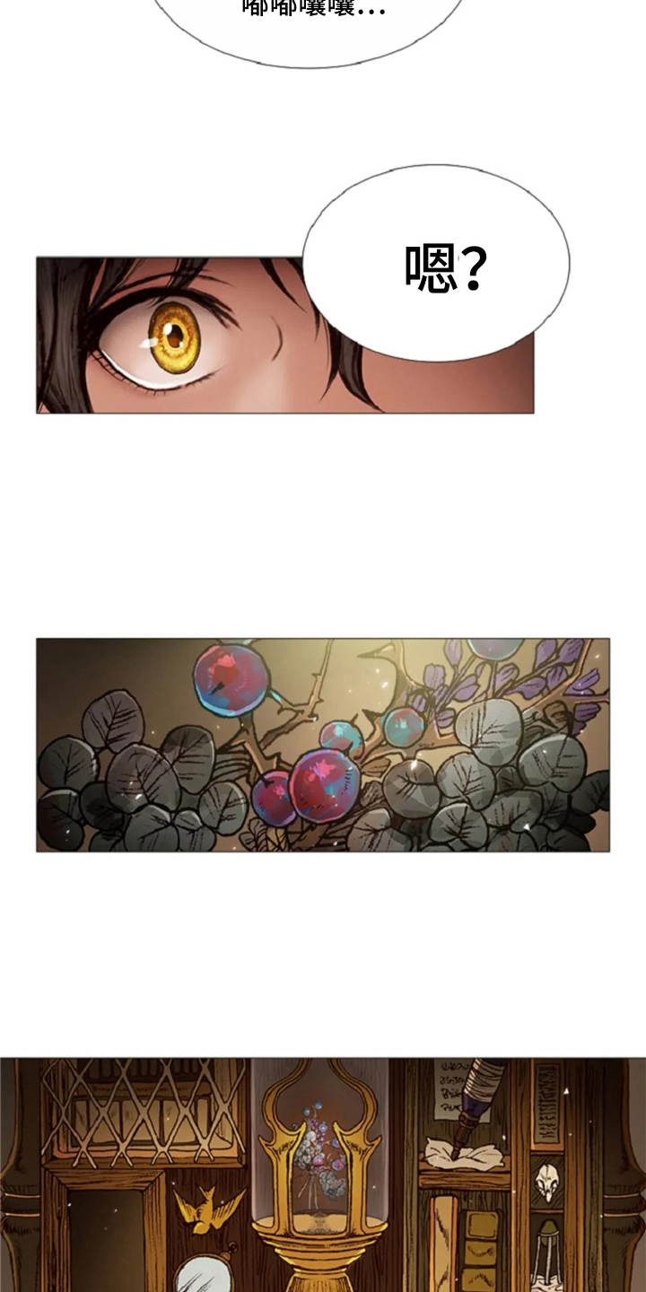 爱情的妖精鸟 第27话 第3页