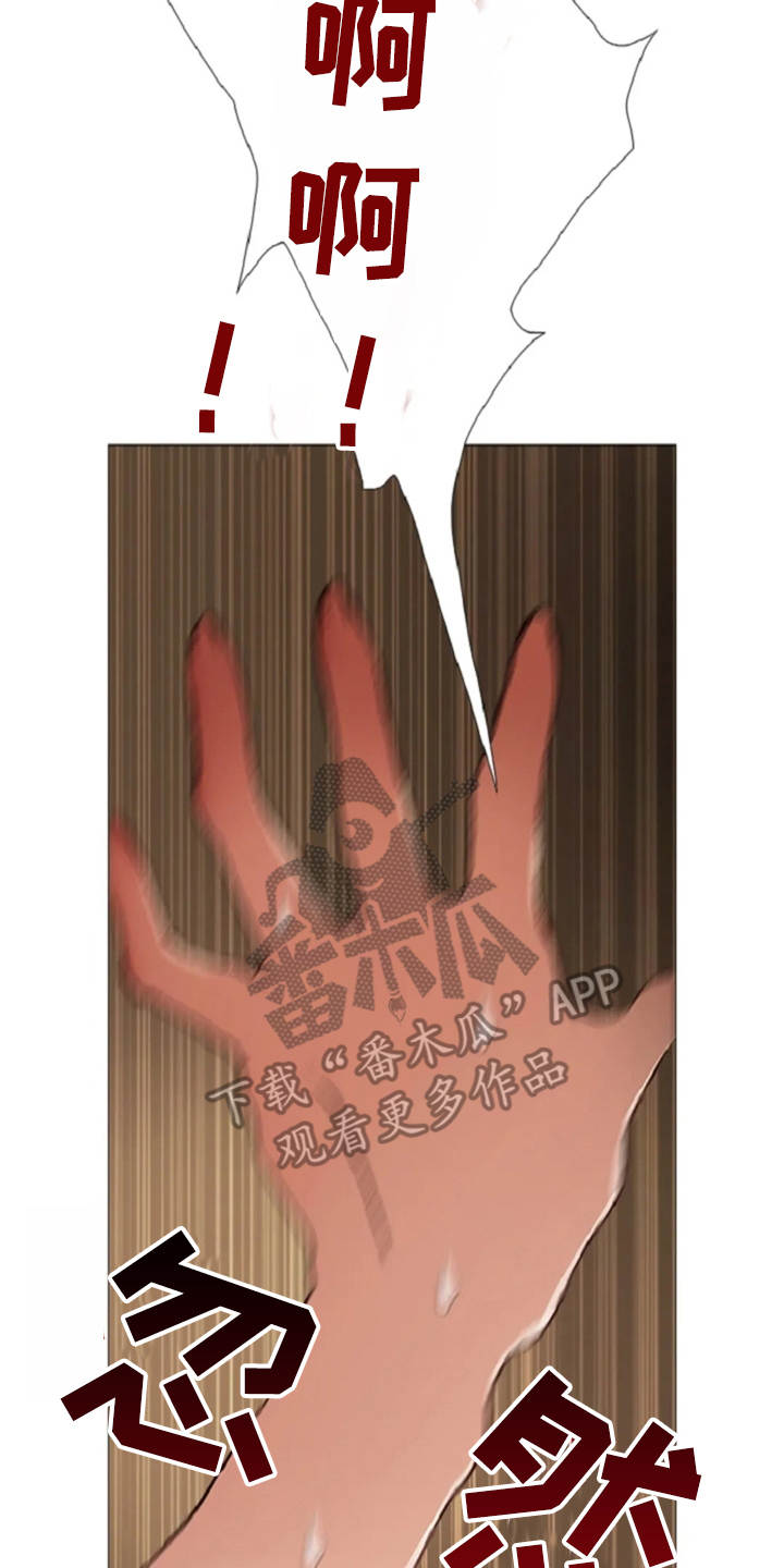 爱情的妖精鸟 第29话 第1页