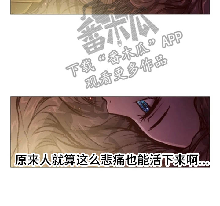 爱情的妖精鸟第31话图