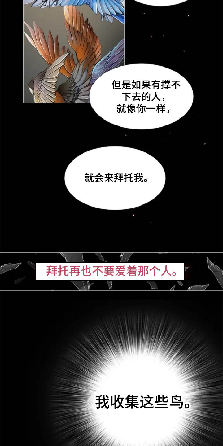 爱情的妖精鸟 第6话 第17页