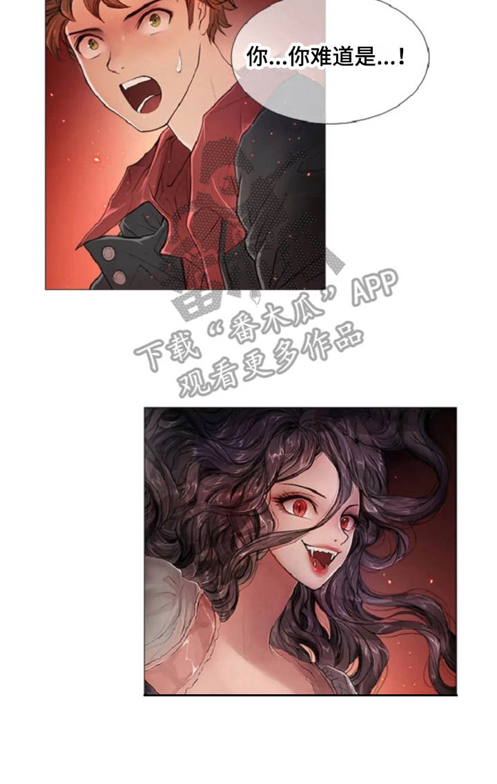 爱情的妖精鸟 第9话 第17页