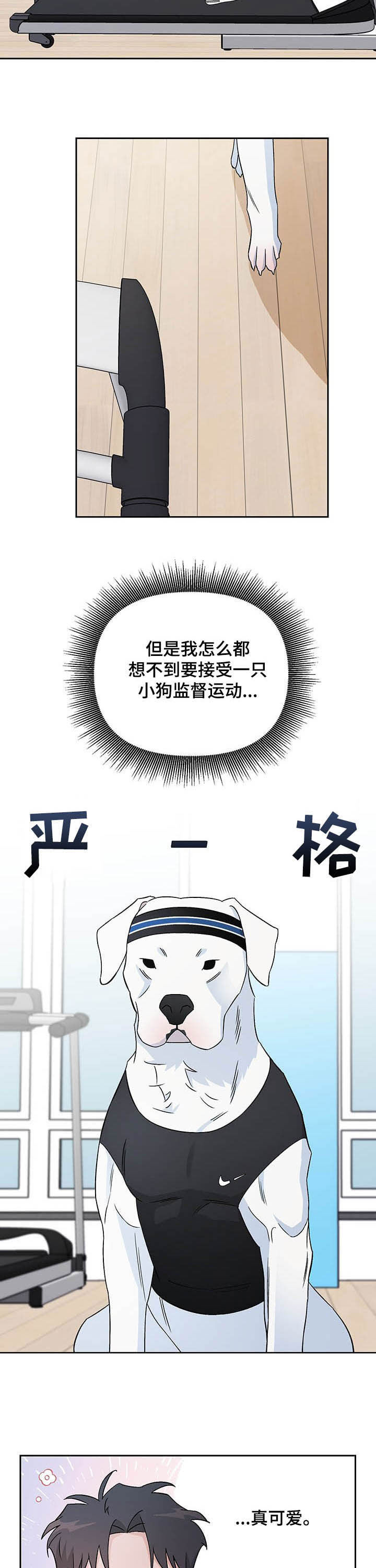 爱犬与我第23话图