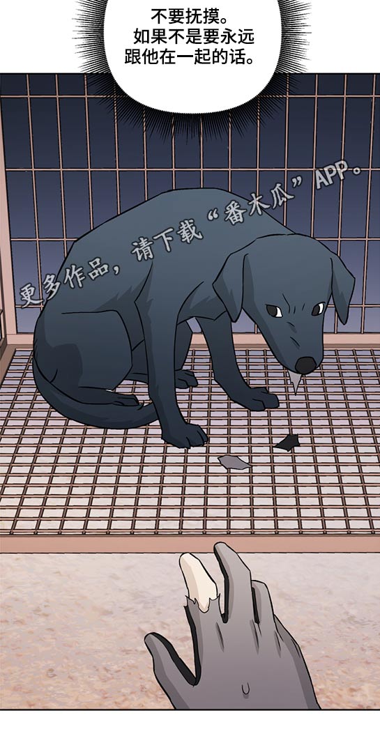 爱犬与我第44话图