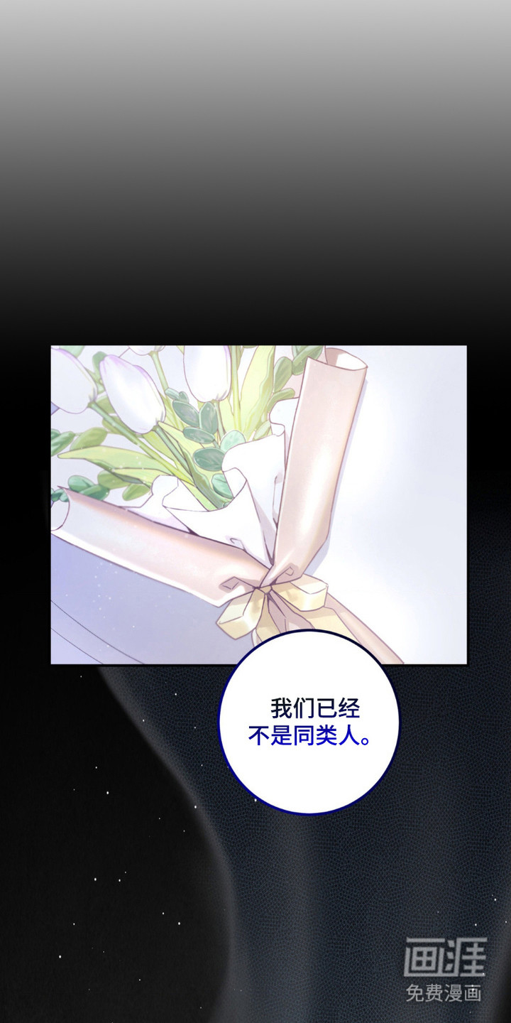 爱豆新成员 第11话 第19页