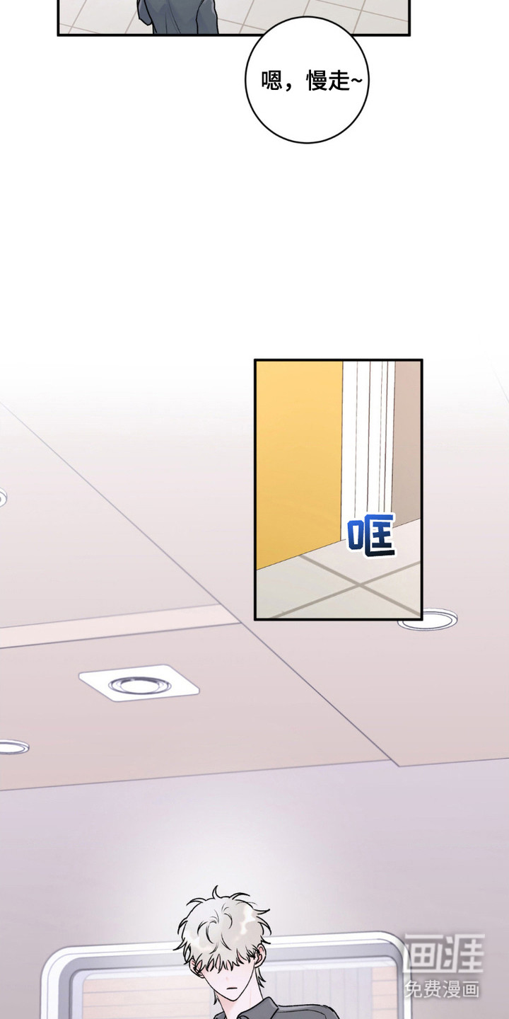 爱豆新成员 第12话 第13页