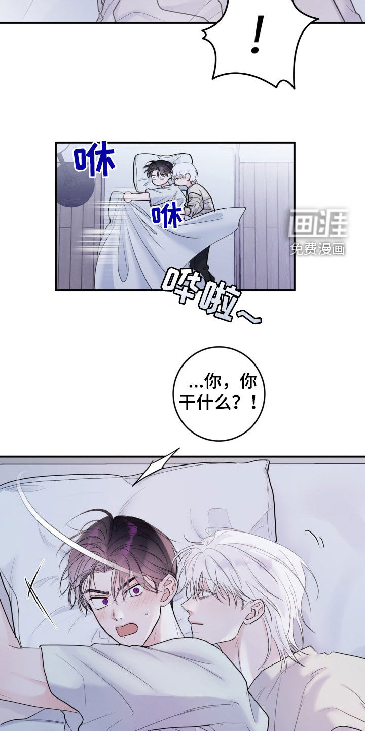 爱豆新成员 第23话 第21页