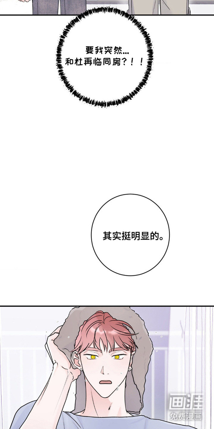 爱豆新成员 第6话 第12页