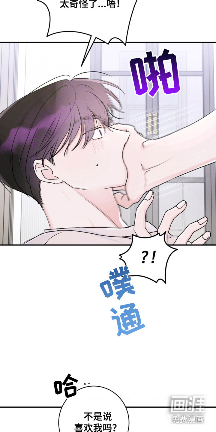 爱豆新成员第8话图