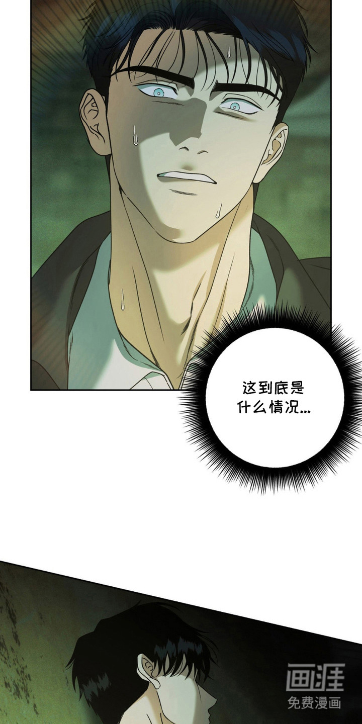 阿加托的试验品 第13话 第13页