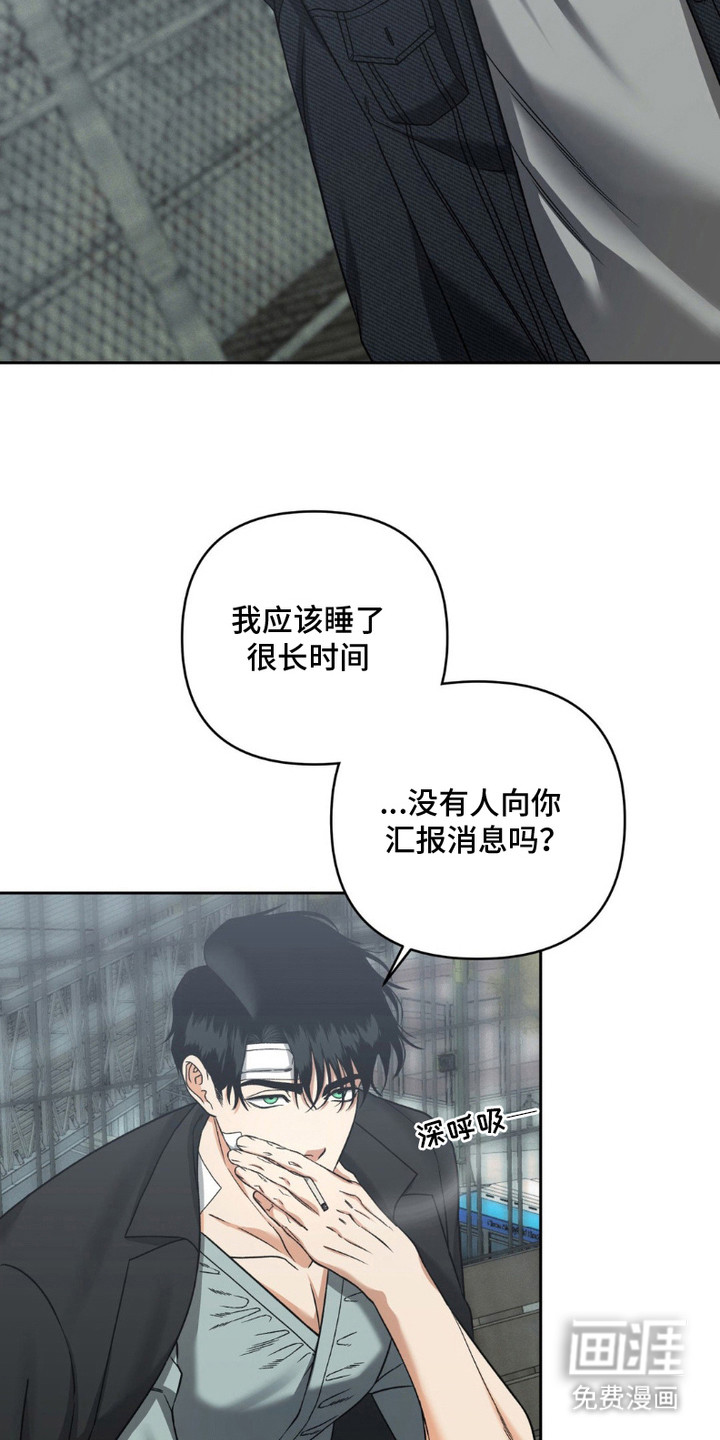 阿加托的试验品第15话图