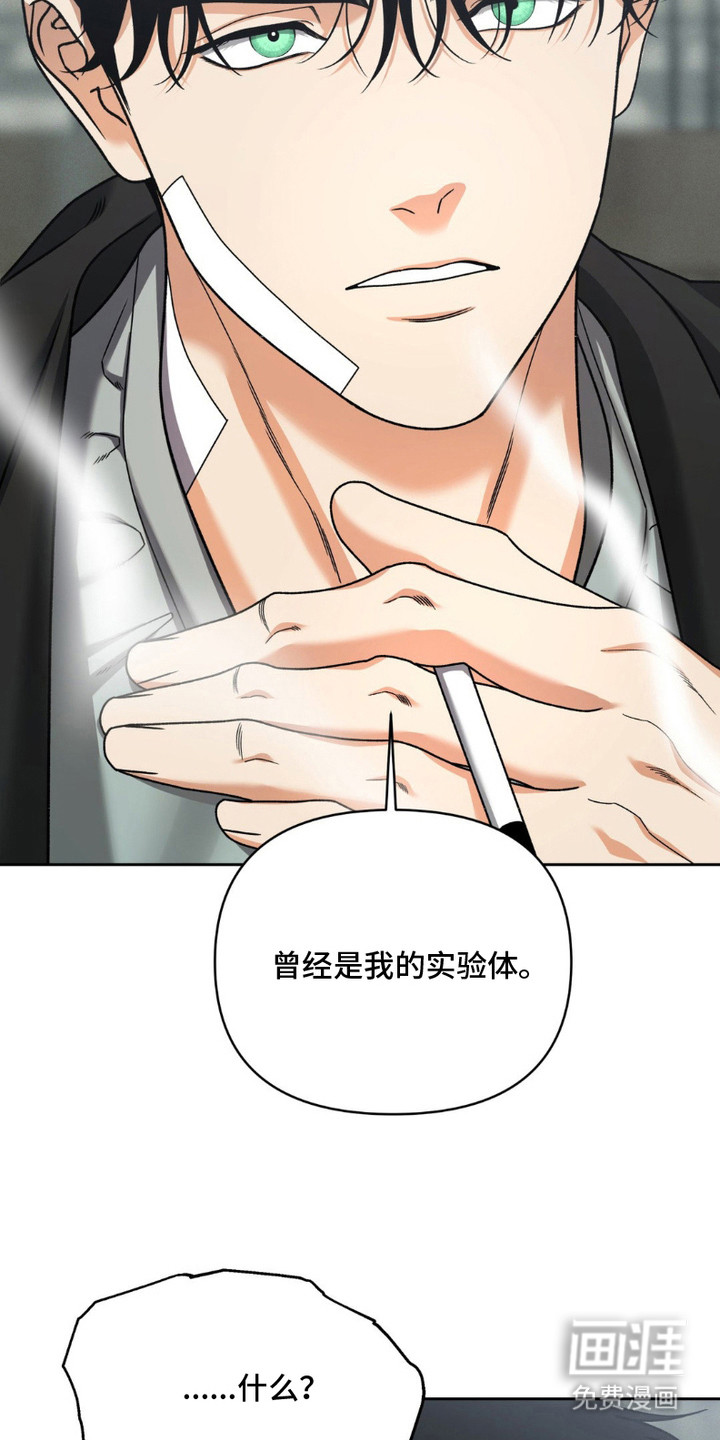阿加托的试验品 第15话 第11页