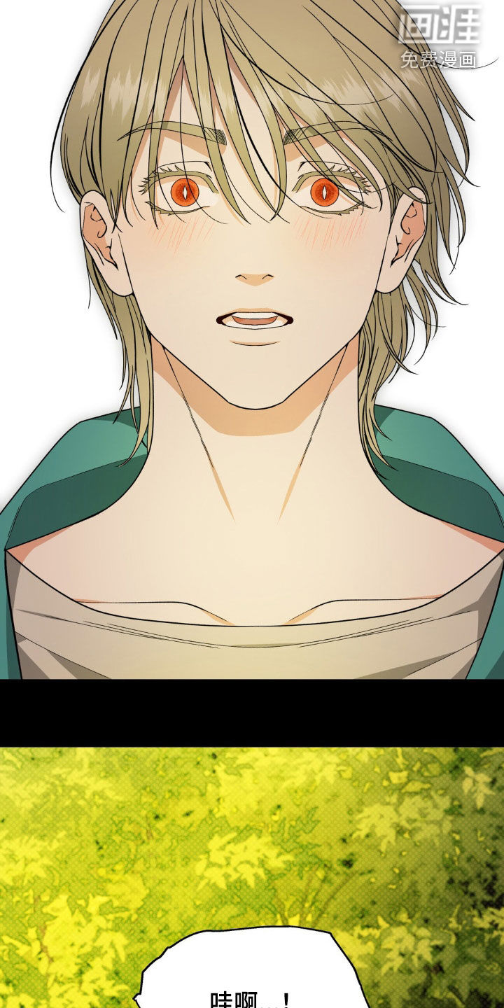 阿加托的试验品 第19话 第12页