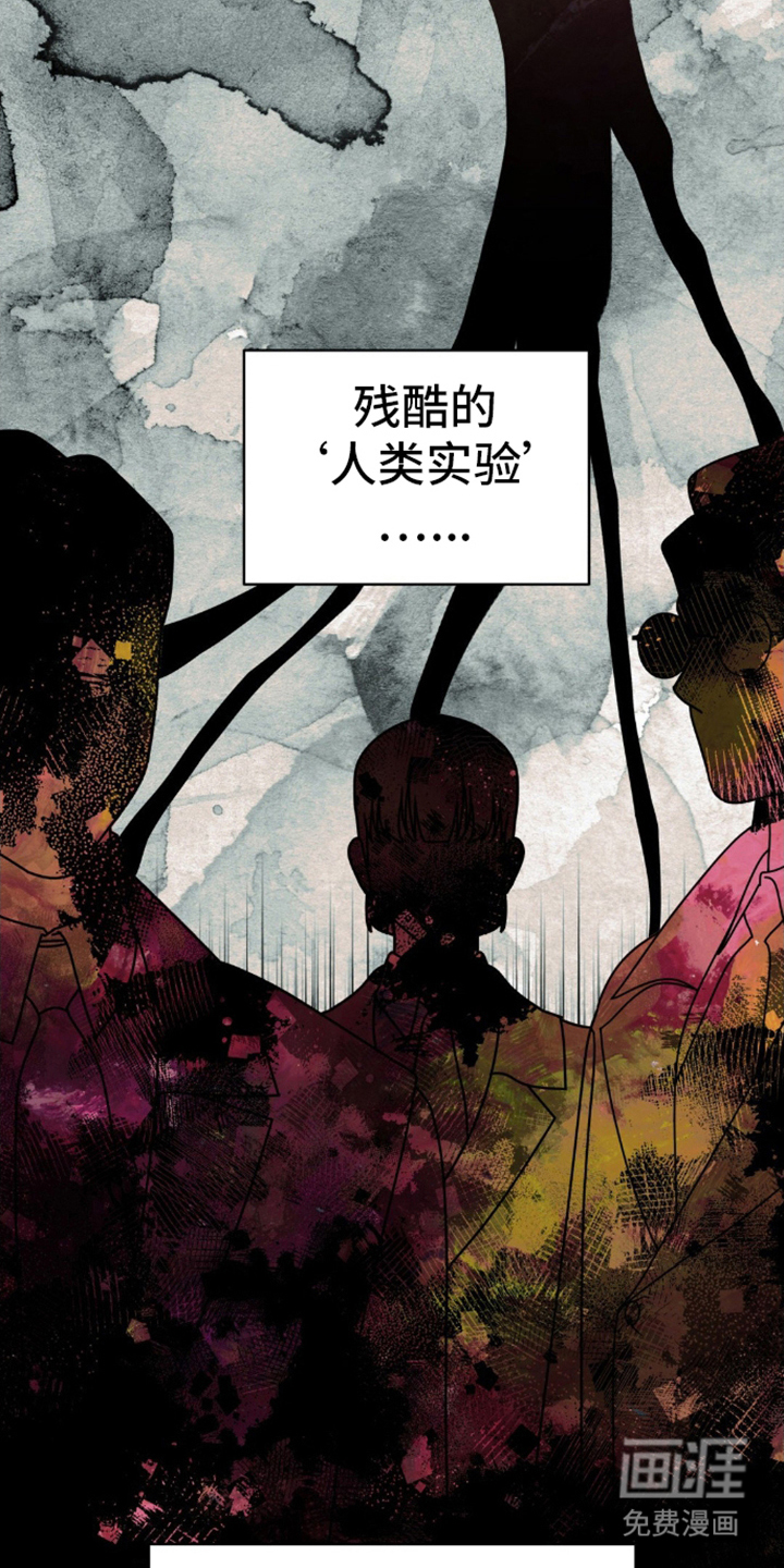 阿加托的试验品 第2话 第11页