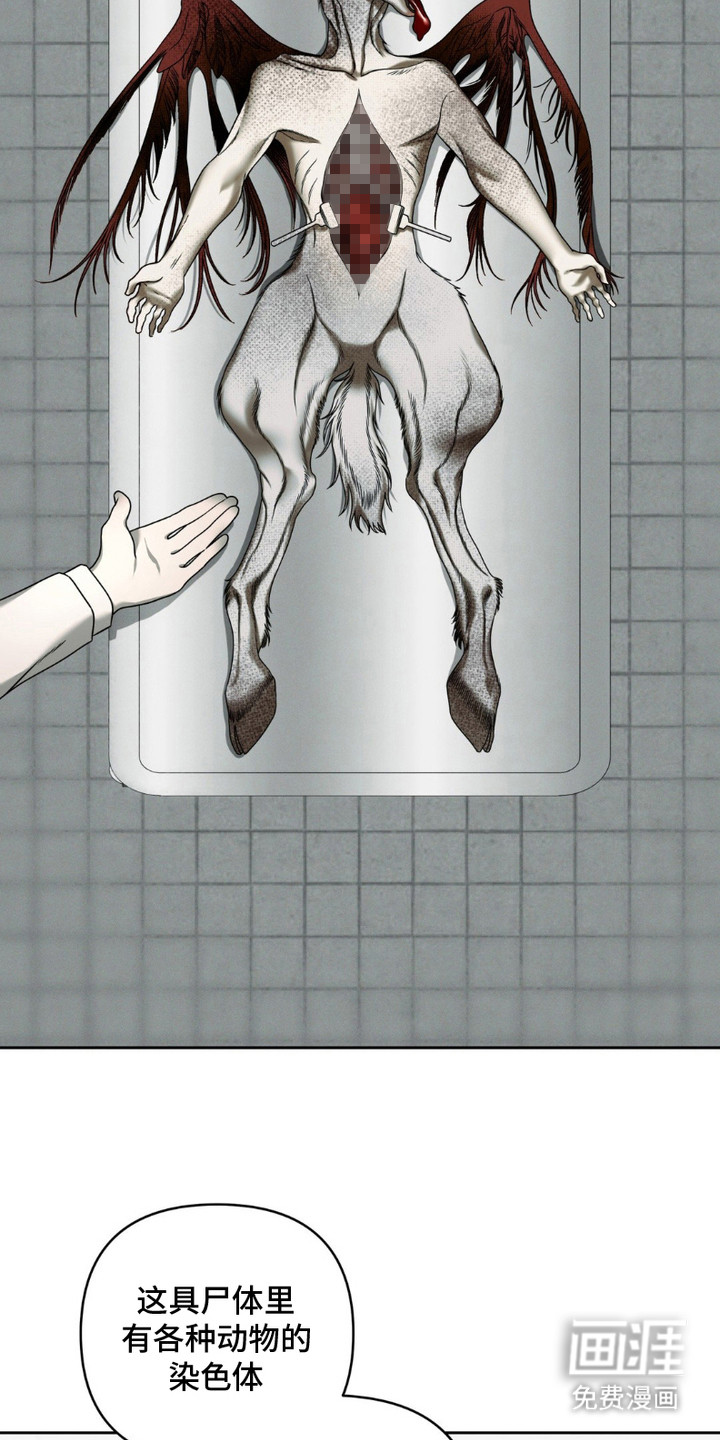 阿加托的试验品 第6话 第15页