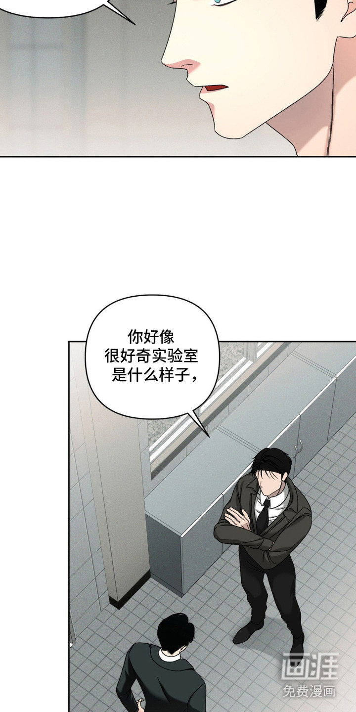 阿加托的试验品 第8话 第21页