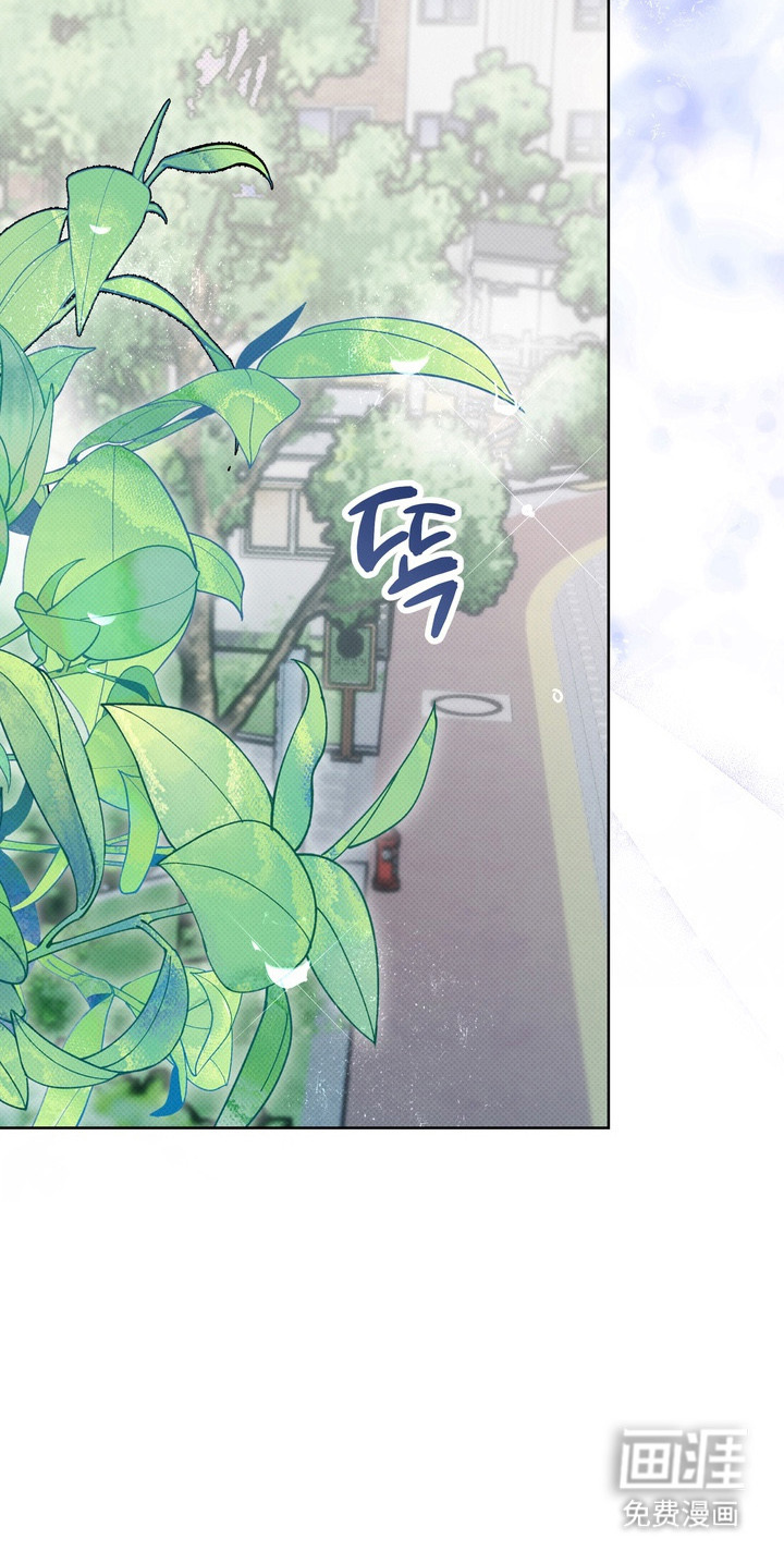 爱情过敏原第13话图