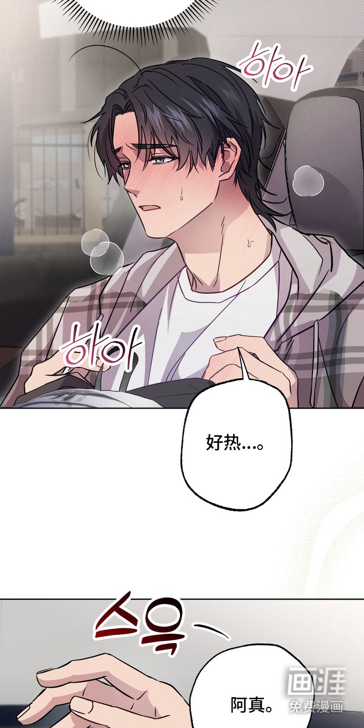 爱情过敏原第3话图