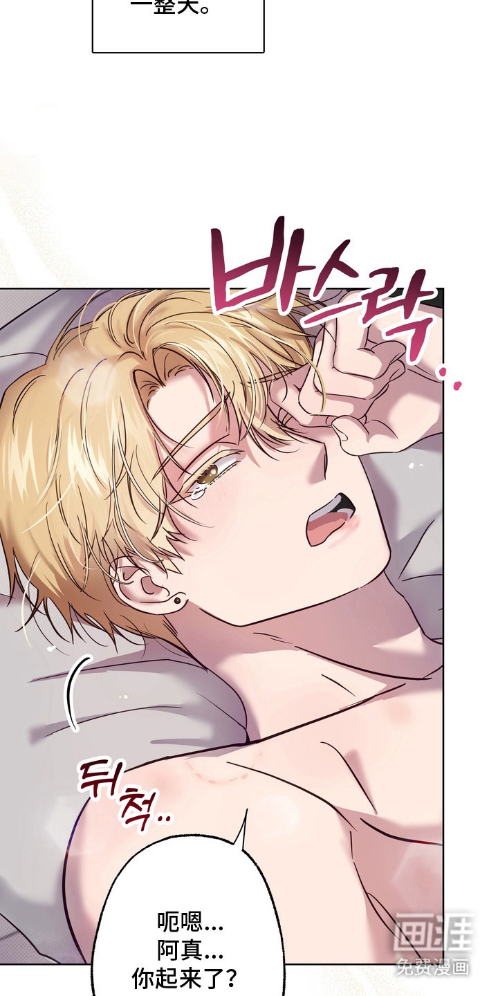 爱情过敏原第6话图