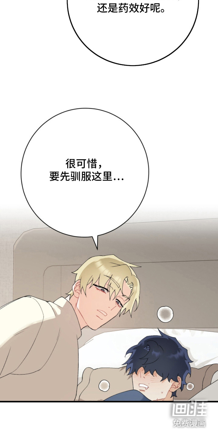 爱如荆棘第16话图