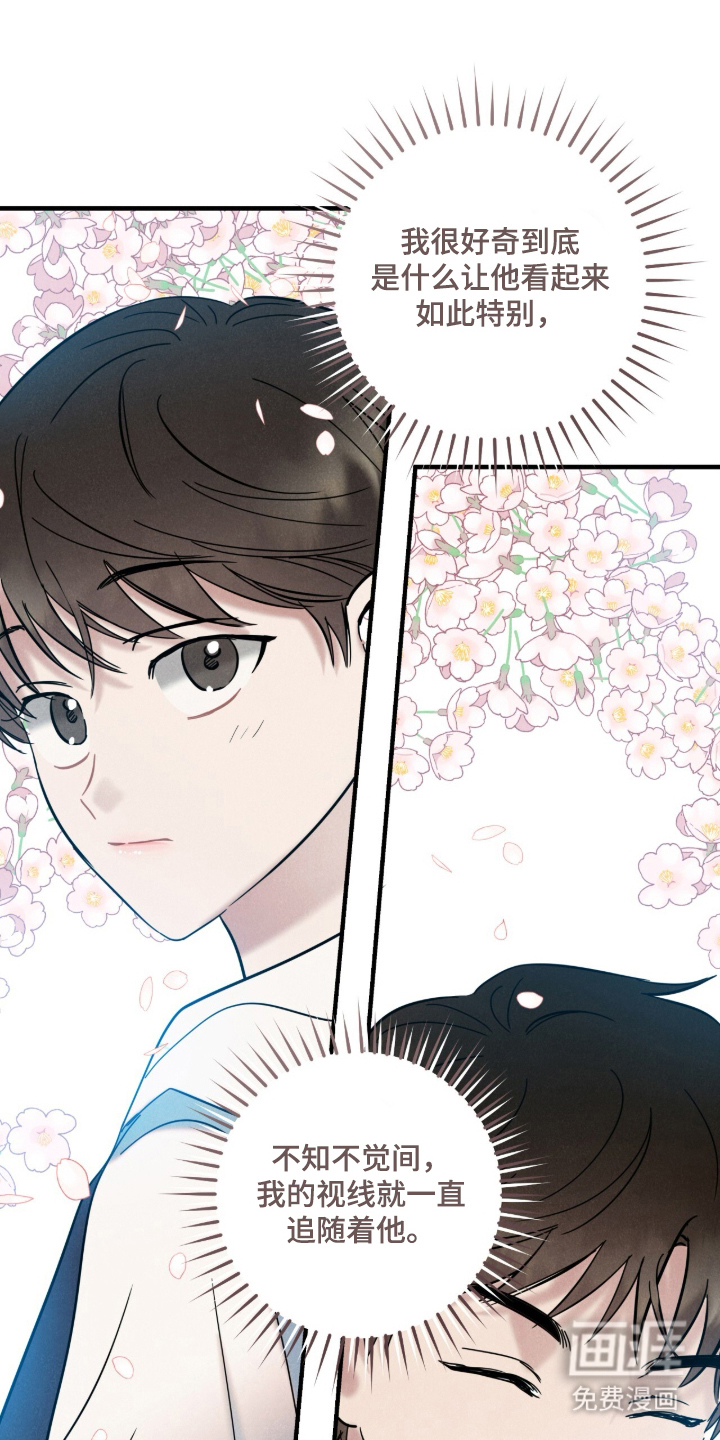 暗恋的最终味漫画-图11