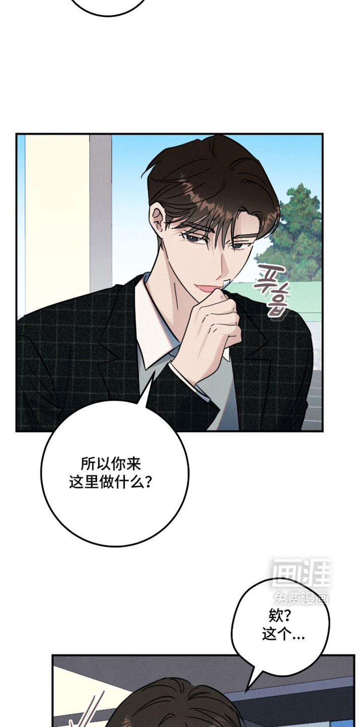 暗恋的最终味漫画-图14