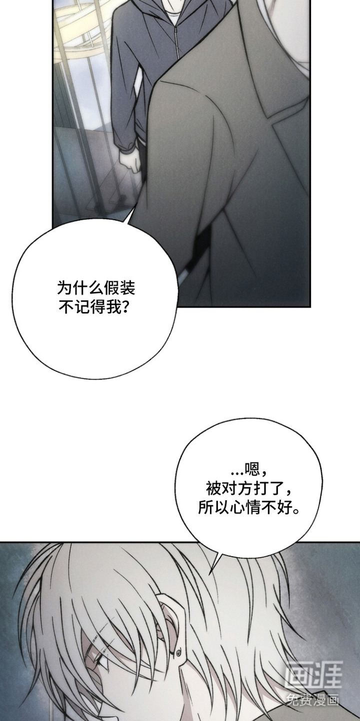 爱后余生漫画-图4