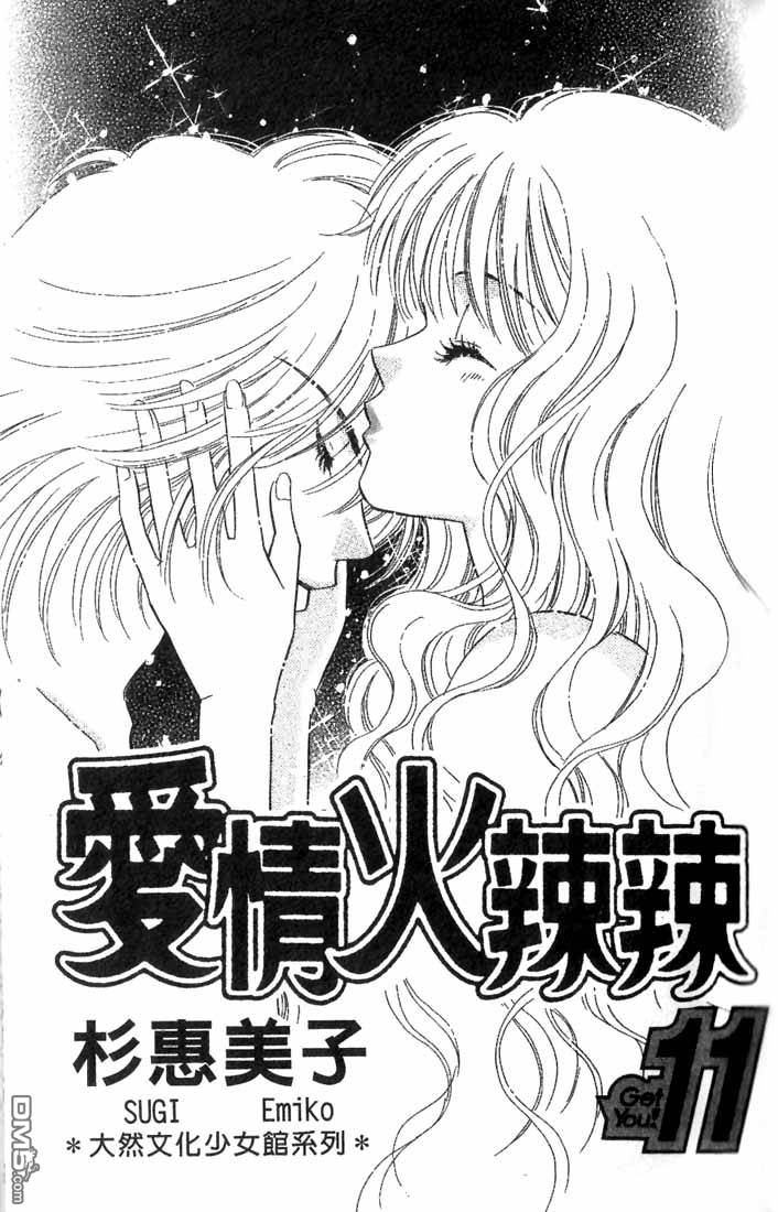 爱情火辣辣第11卷图