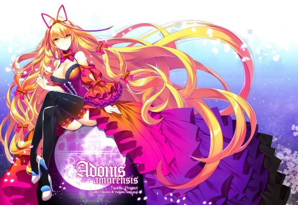 adonis amurensis全1话图