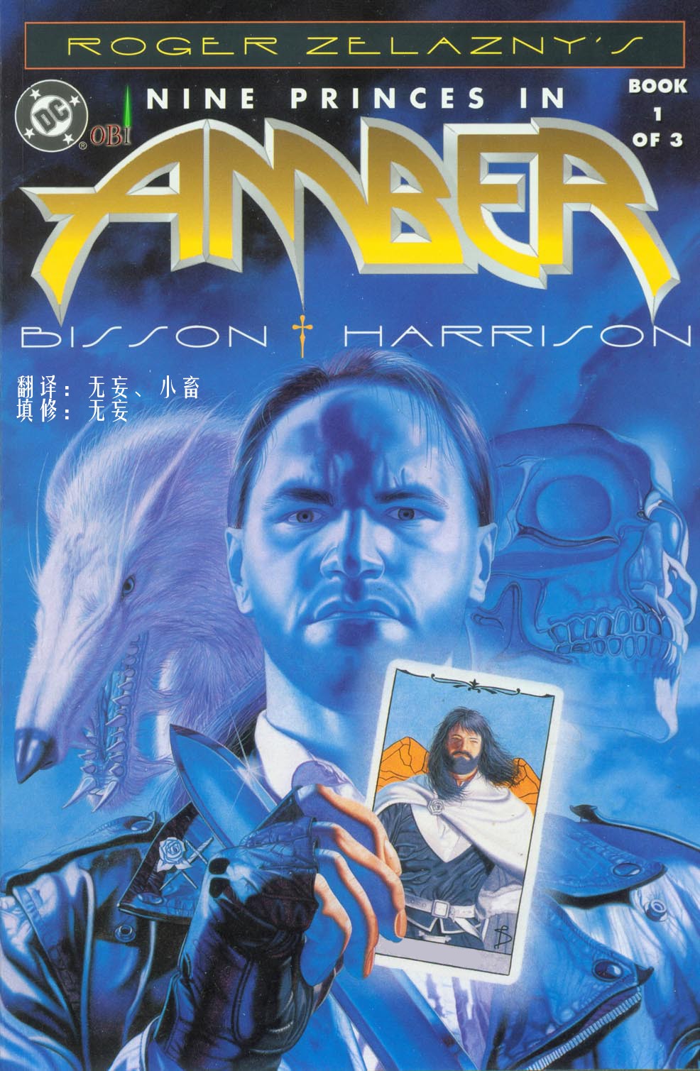 安珀九王子第1卷图