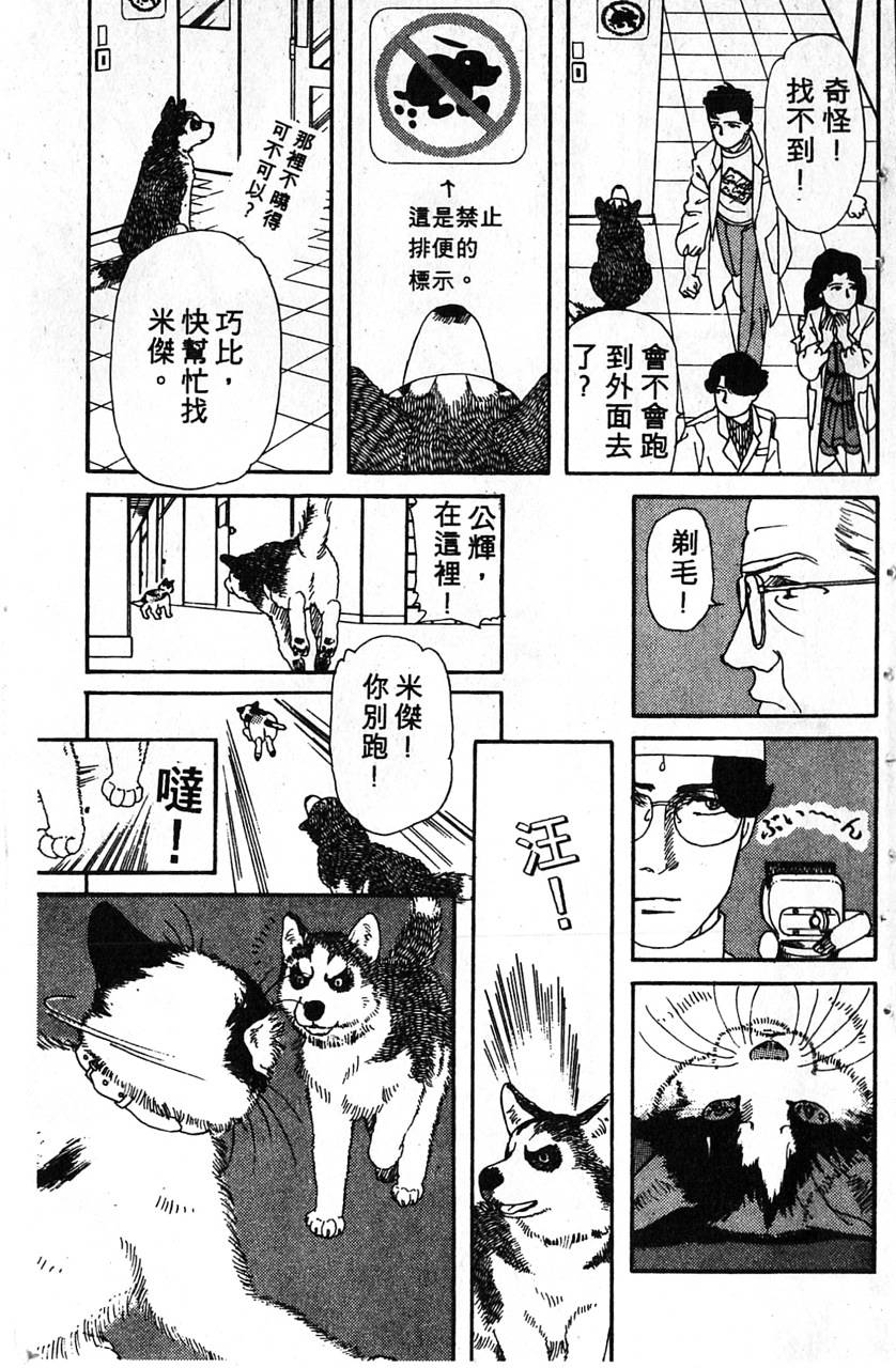 爱心动物医生第1卷图