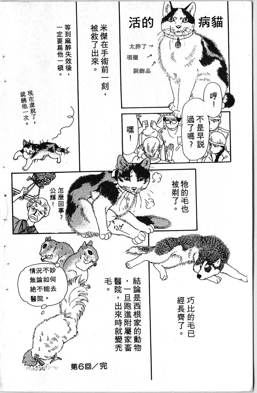 爱心动物医生第1卷图