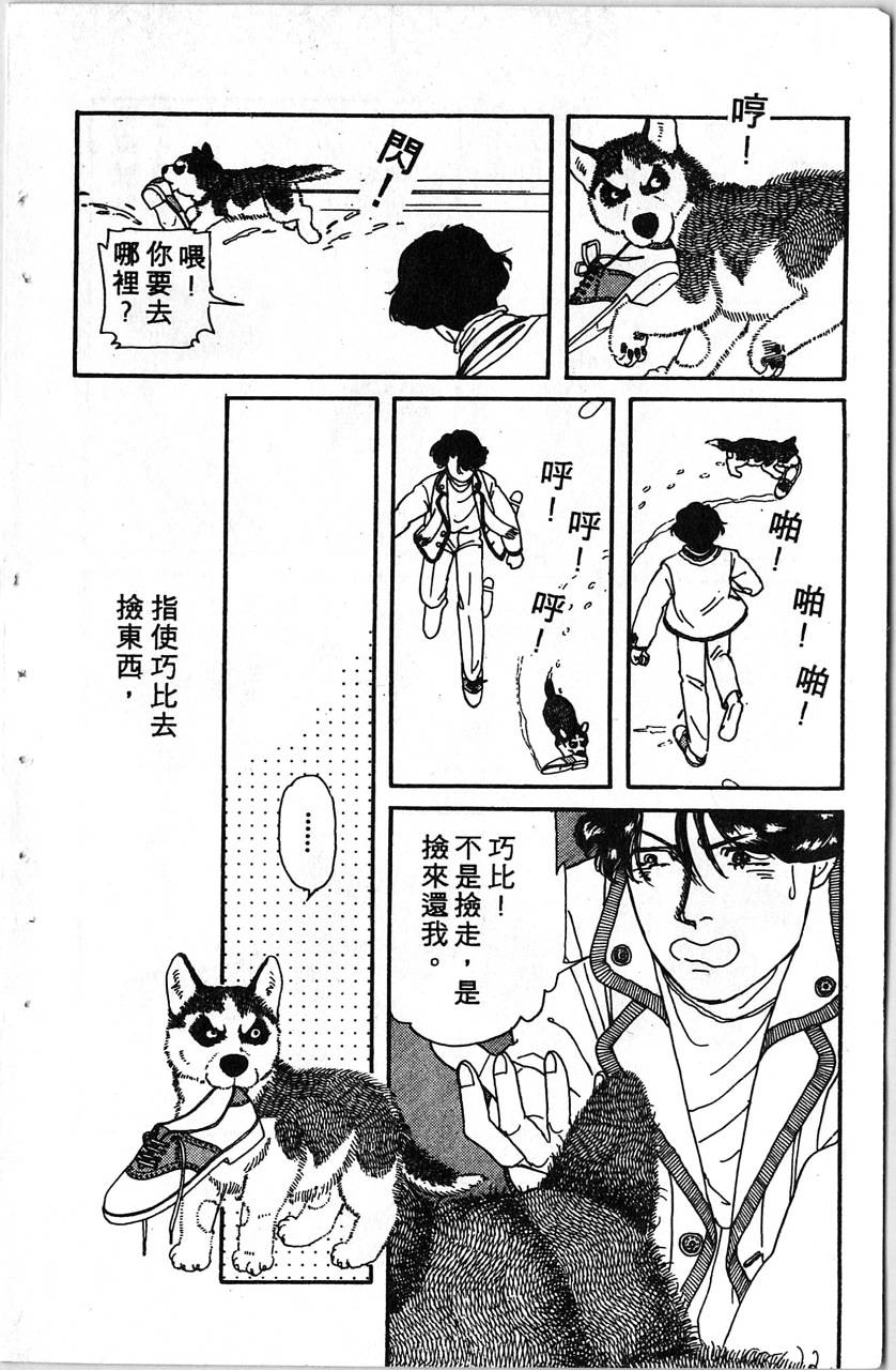 爱心动物医生第1卷图