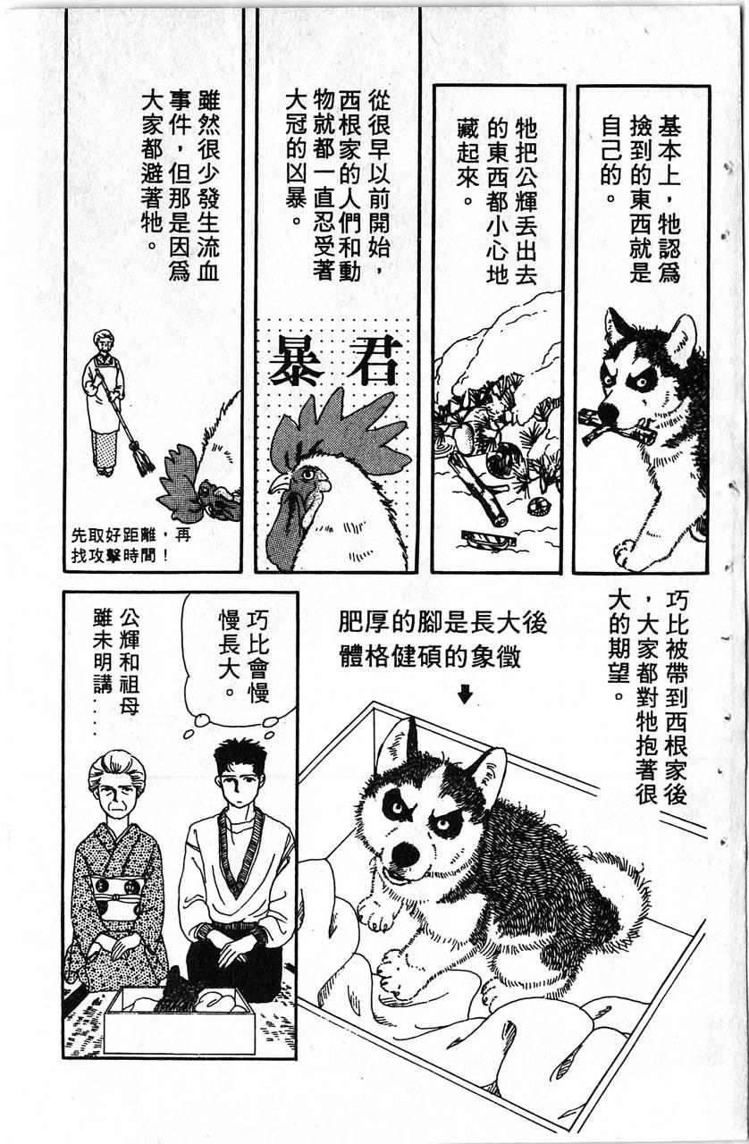 爱心动物医生第1卷图