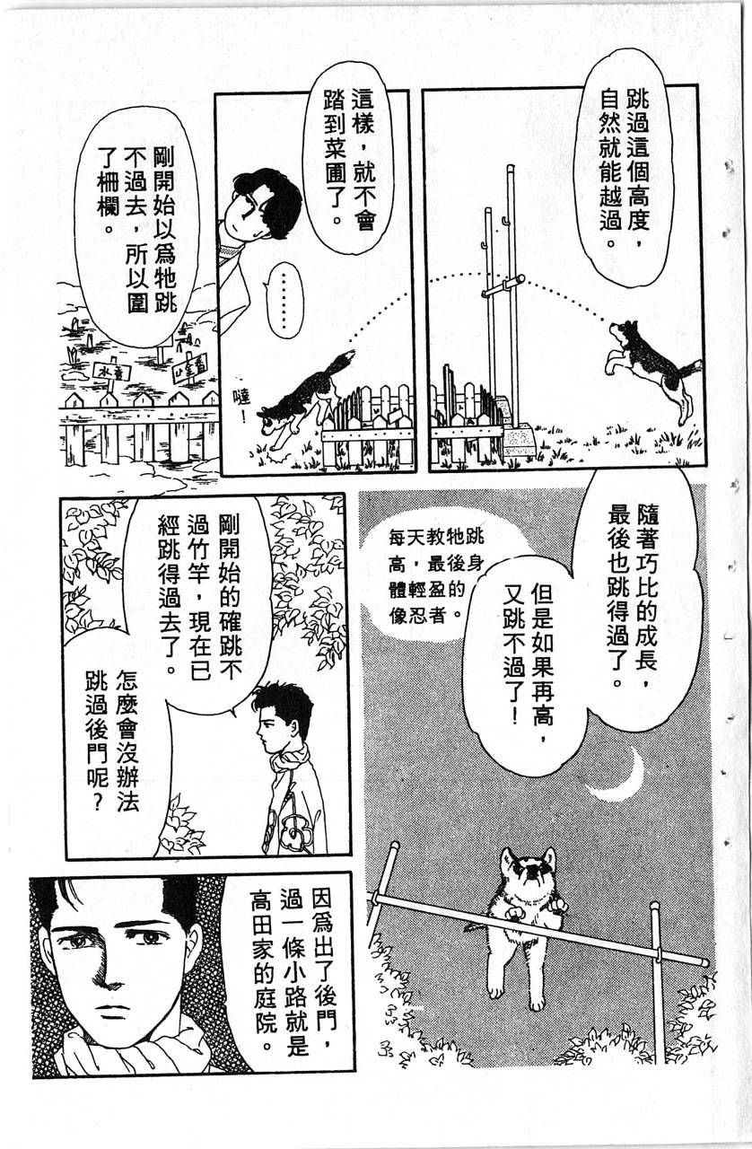 爱心动物医生第1卷图