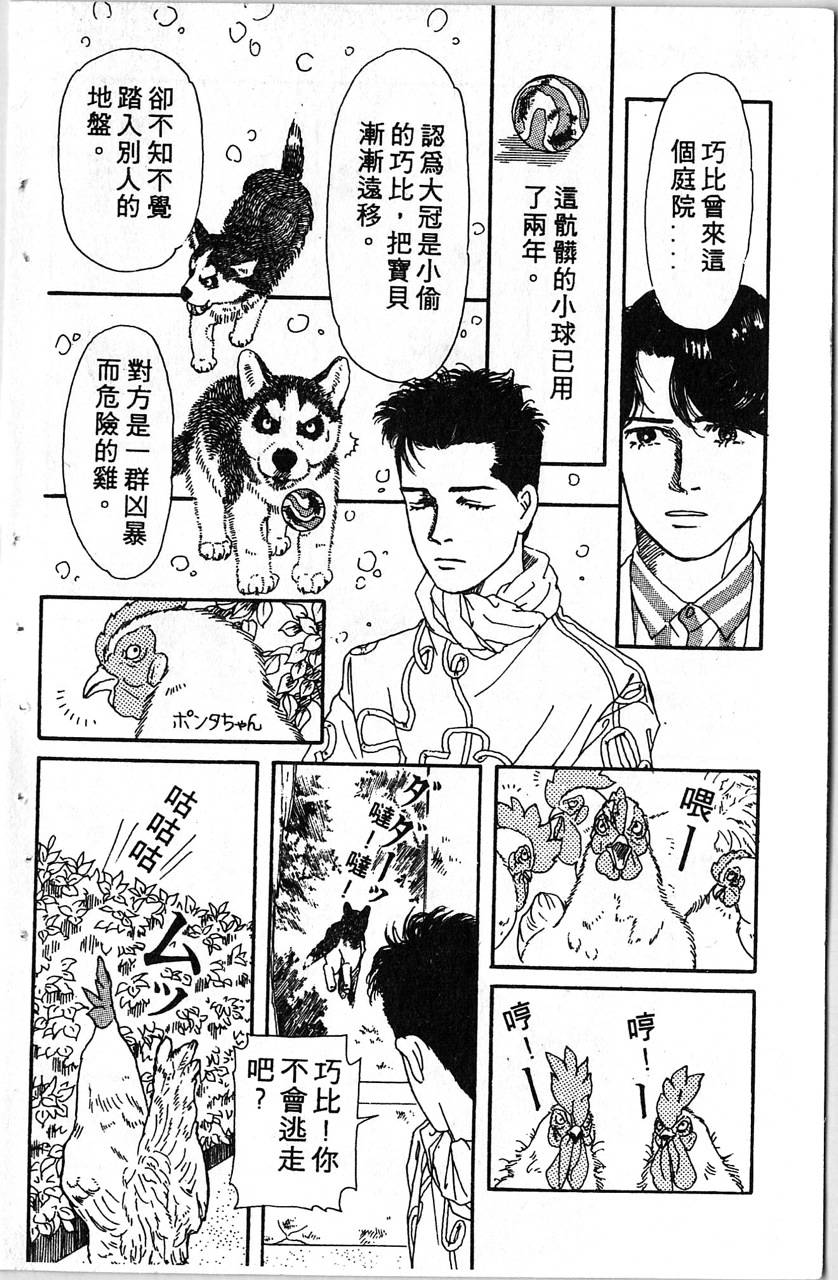 爱心动物医生第1卷图