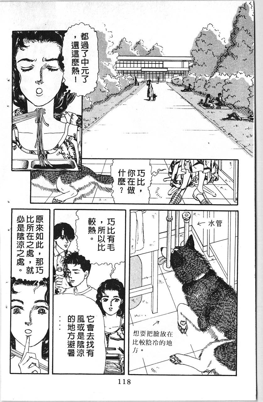 爱心动物医生第10卷图