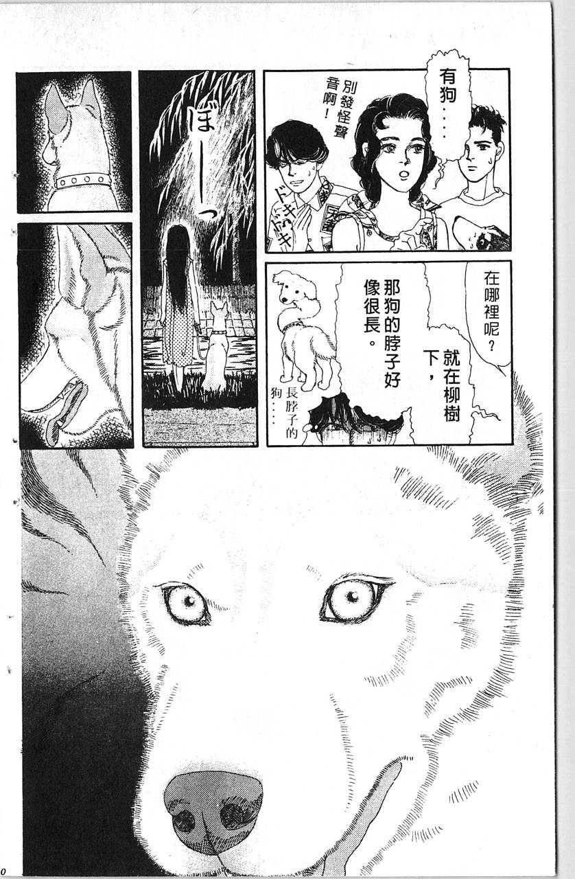 爱心动物医生第10卷图