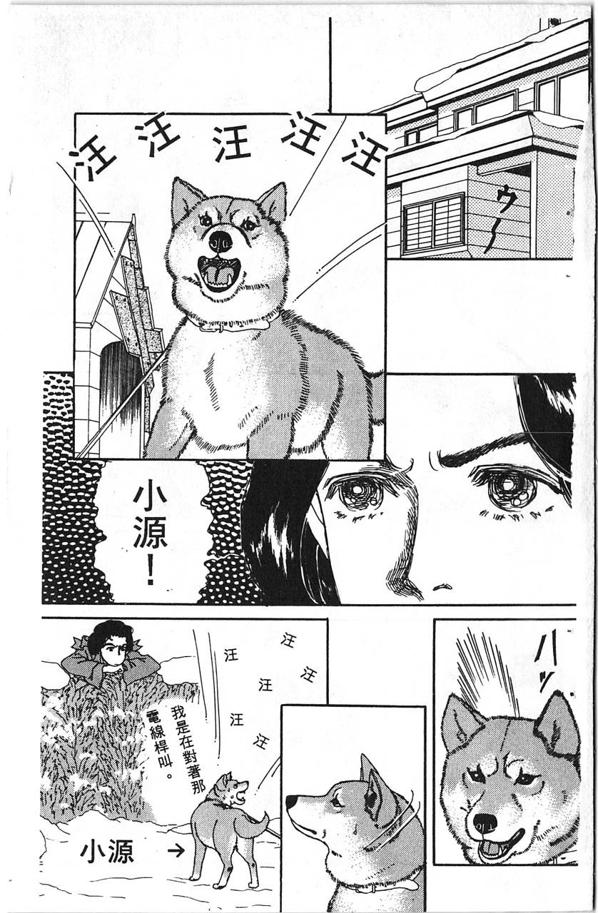 爱心动物医生第5卷图