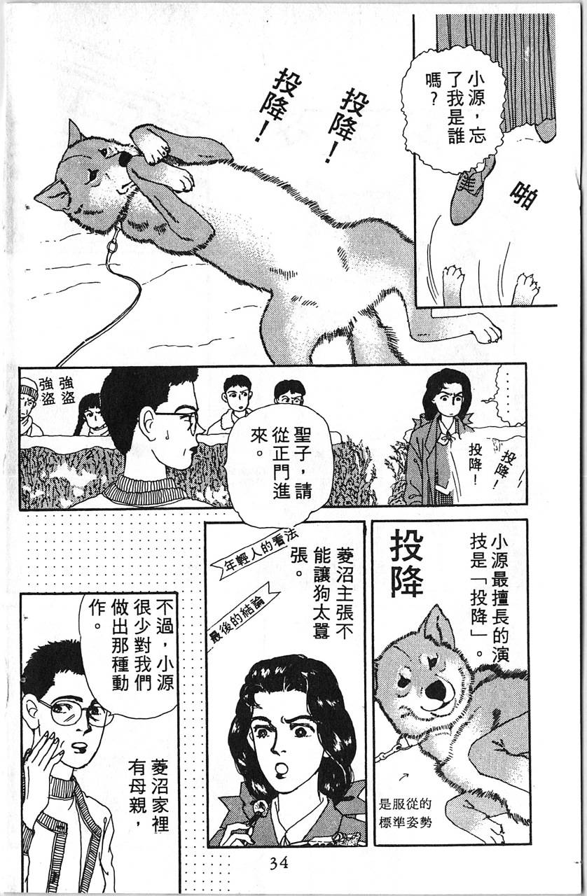 爱心动物医生第5卷图