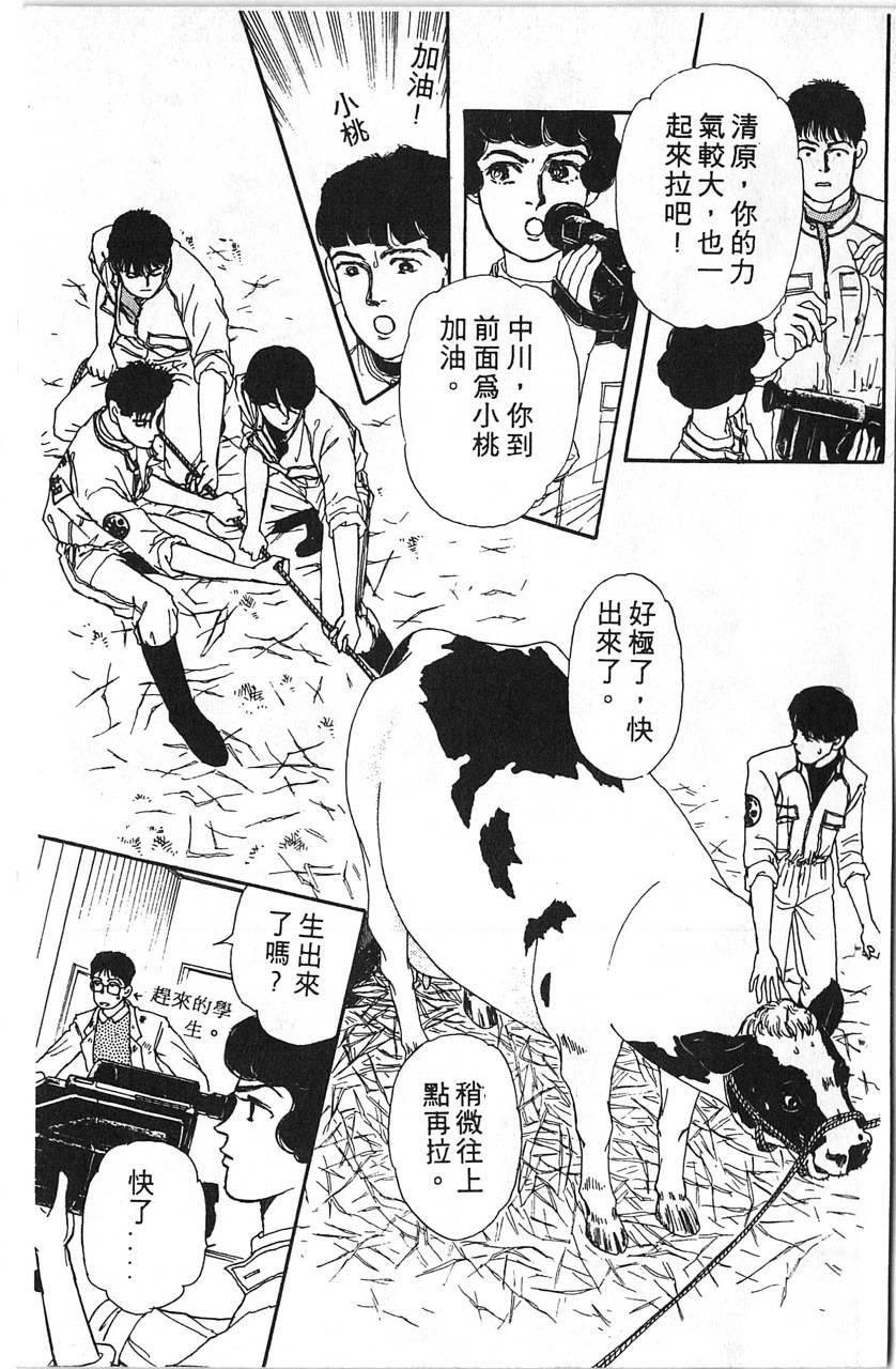 爱心动物医生第5卷图